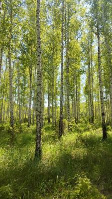 Прикрепленное изображение: IMG_20220509_120850.jpg